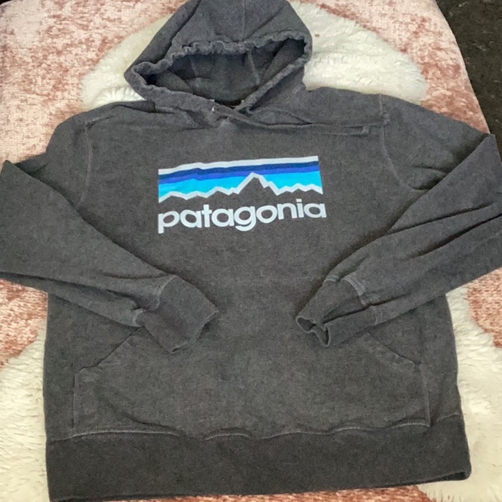 Vintage Patagonia Line Logo Midweight Hoodie